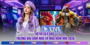 Đá Gà Cựa Dao - Trường Đấu Đẫm Máu Và Mạo Hiểm Mới 2026
