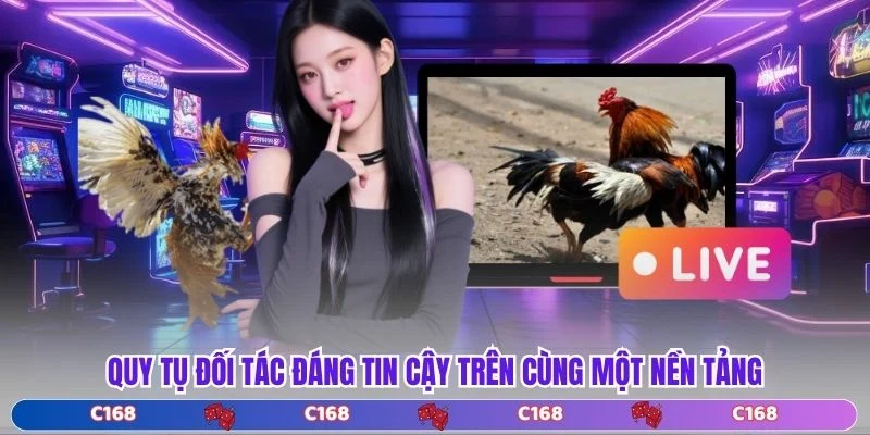 Quy tụ đối tác đáng tin cậy trên cùng một nền tảng